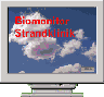 einfache Programmbeispiele BioMonitor
